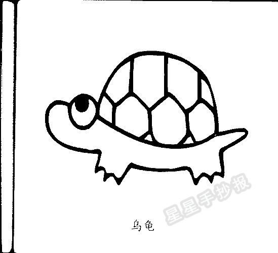 乌龟简笔画图片画法