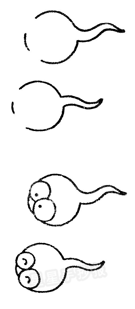 蝌蚪(英文:tadpole ) 古时写作"科斗",是蛙,蟾蜍,蝾螈,鲵等两栖类
