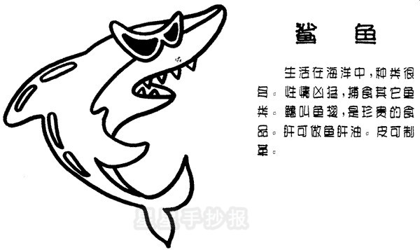 鲨鱼简笔画简单画法