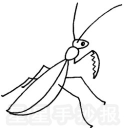 星星报 简笔画 动物简笔画 >> 正文内容螳螂属于捕食性昆虫,喜欢以