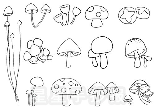 星星报 简笔画 水果蔬菜简笔画 >> 正文内容  蘑菇是由菌丝体和子实体