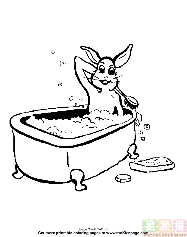 小白兔在浴池里洗澡简笔画